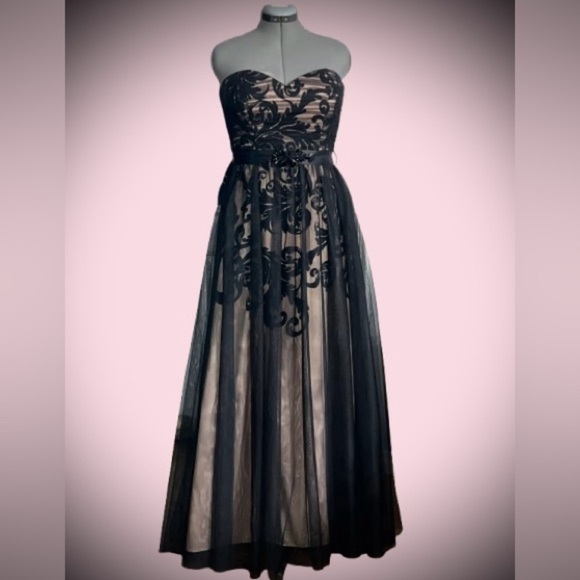 Betsy and Adam tulle maxi dress, fits like sz 8( says size 12) - Picture 1 of 5